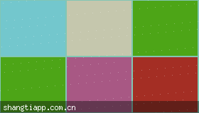 上体体育网页版 vs app